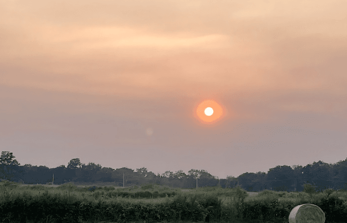 Faut-il s'inquiéter des fumées des incendies des forêts boréales ?