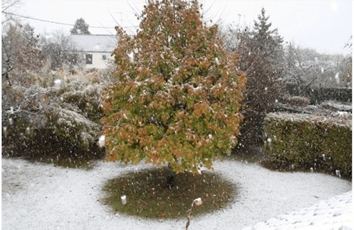 Quand il neigeait vers la Toussaint...