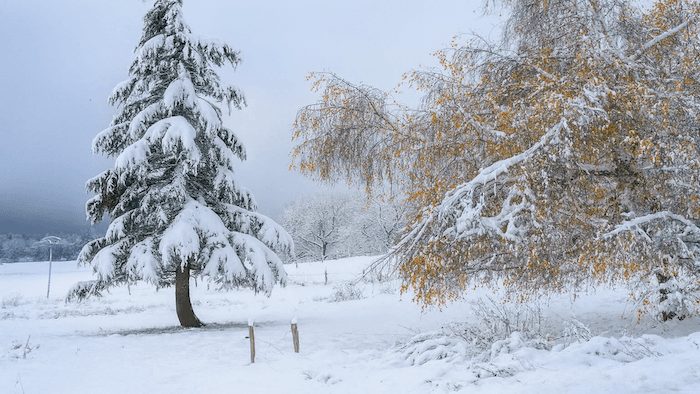 Bilan météo et climatique de novembre 2025 : plus doux que la normale, malgré les apparences…