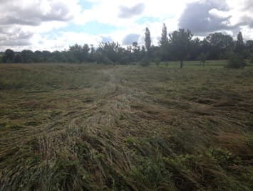 Image d'illustration pour Orage, tornade, inondations : A quand le retour du beau-temps ? 