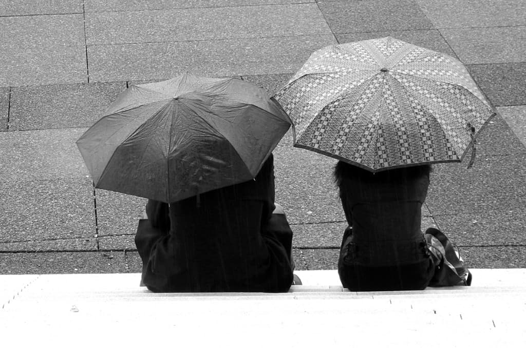 Image d'illustration pour BILAN DU PRINTEMPS 2013 : complètement pourri !