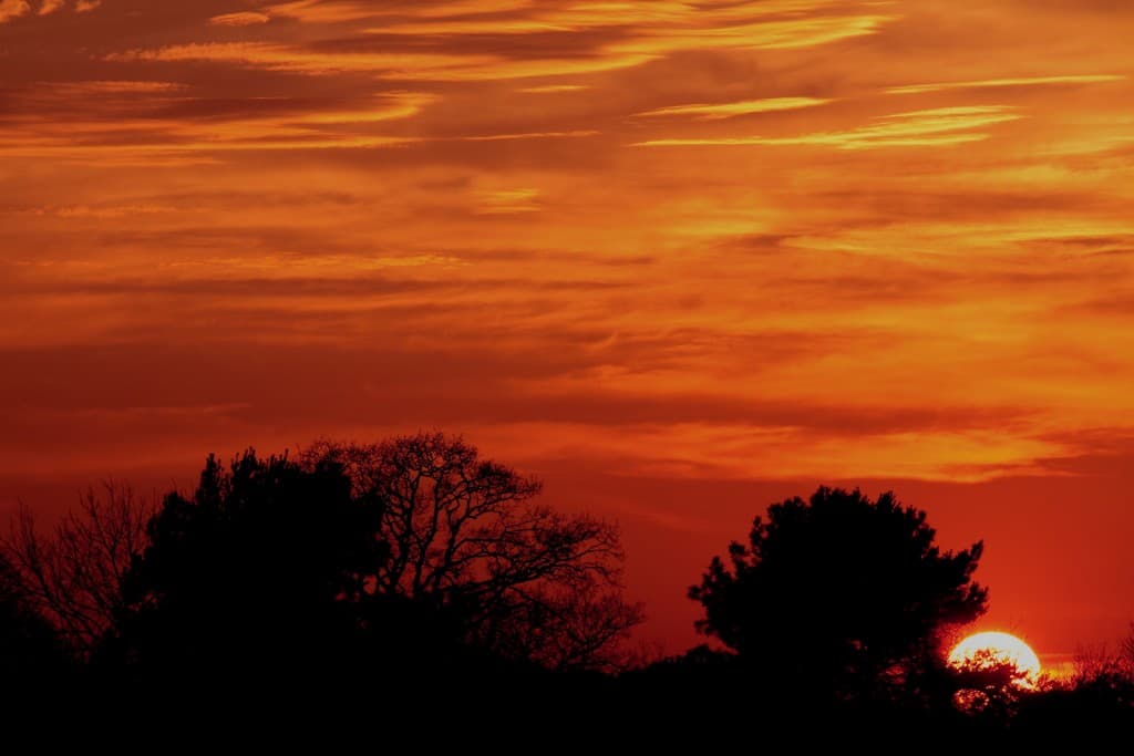 Image d'illustration pour Printemps précoce et pollution : vos photos