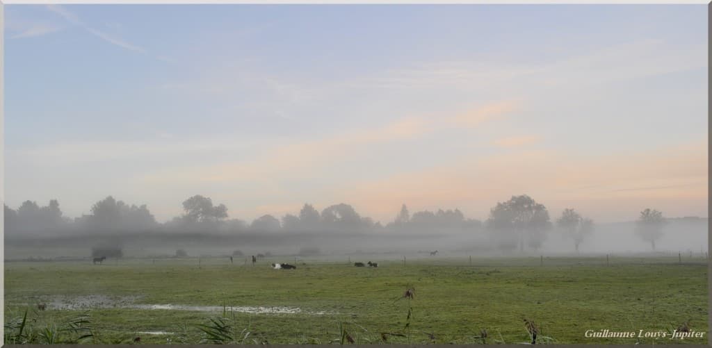 Image d'illustration pour Vos photos météo de la semaine