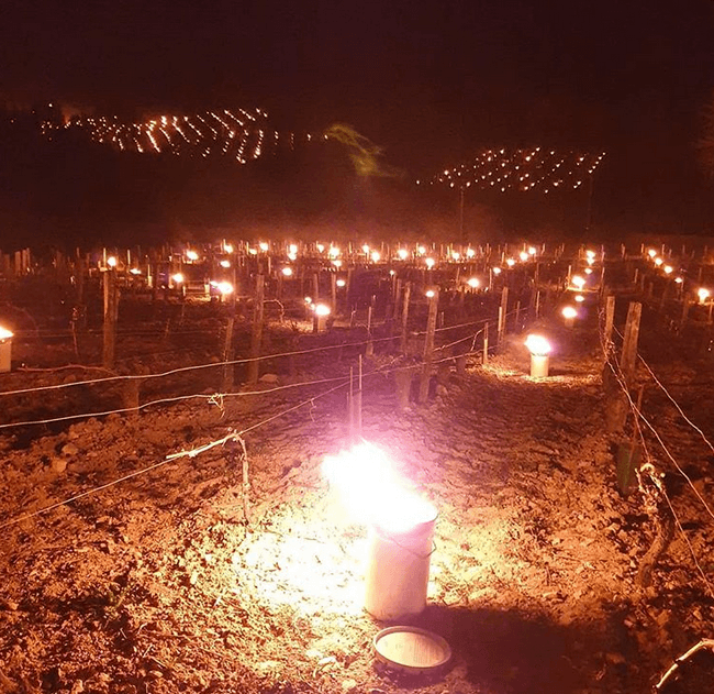 Image d'illustration pour Nouveau coup de froid avec gelées en cette fin de semaine