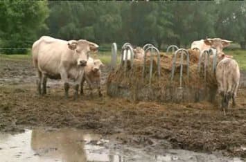 Image d'illustration pour Agriculture, faune et flore impactés par la pluie au Nord de la France