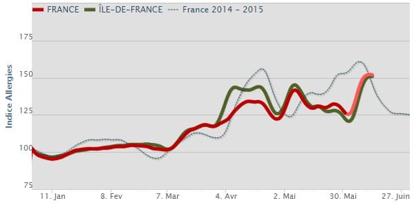 Image d'illustration pour L'allergie aux pollens de graminées au plus haut malgré la pluie