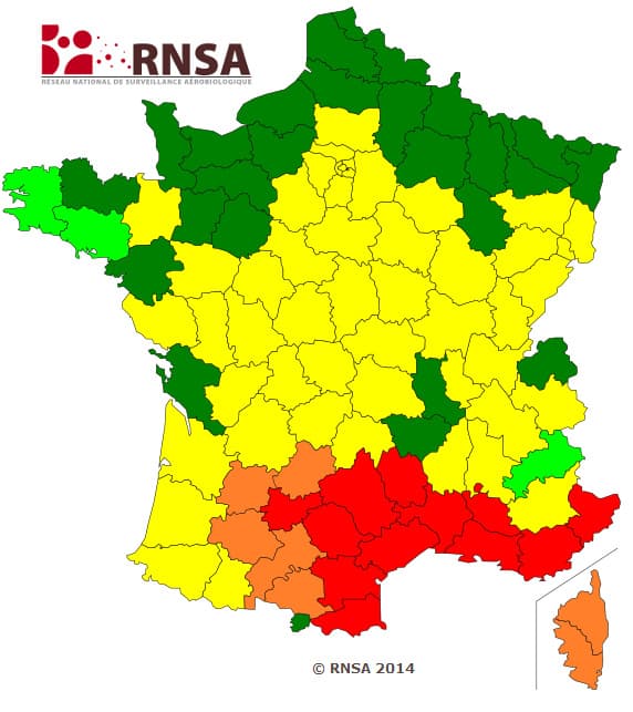 Image d'illustration pour Pollens : bulletin des risques d'allergie